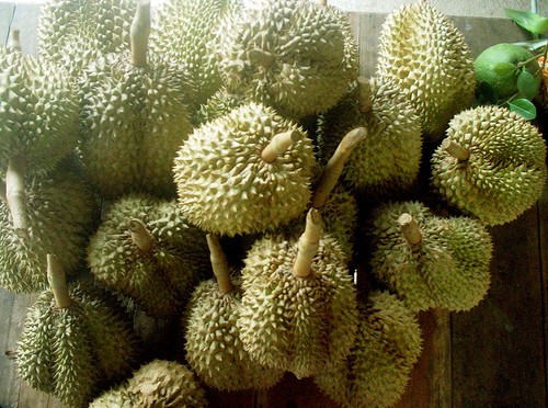 Durian - Image Courtesy Ringo Ichigo
